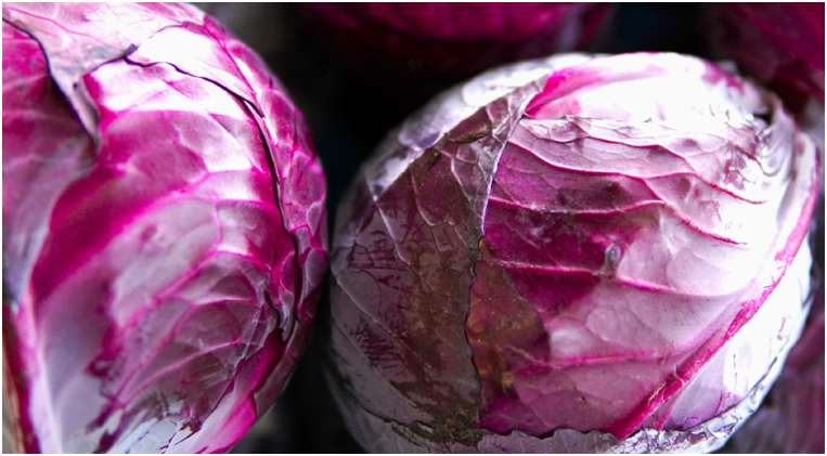 краснокочанная капуста "Гако" 