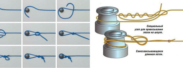 Фото с сайта: https://novikovnn.ru