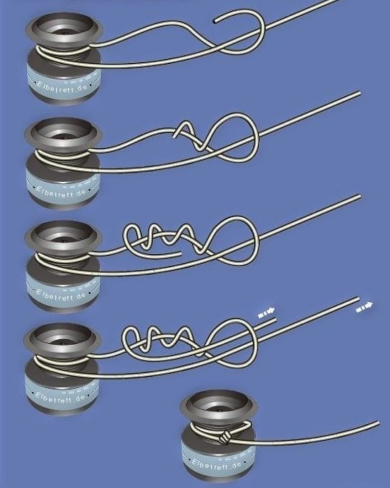 Фото с сайта: https://na-ribu.ru/wp-content/uploads/2028/04/petlya-gardnera-33.jpg