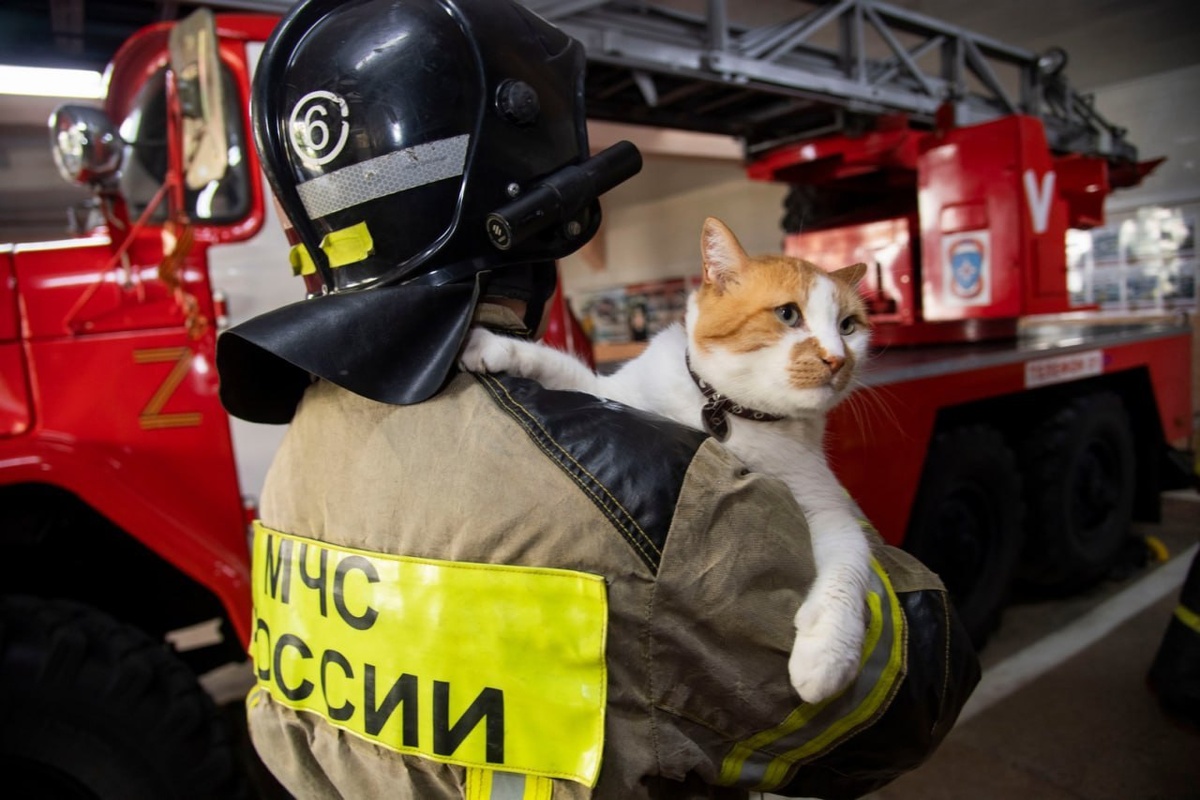 За вами, как за каменной стеной.