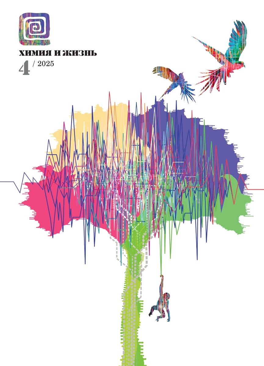 Дизайн обложки: Александр Кук