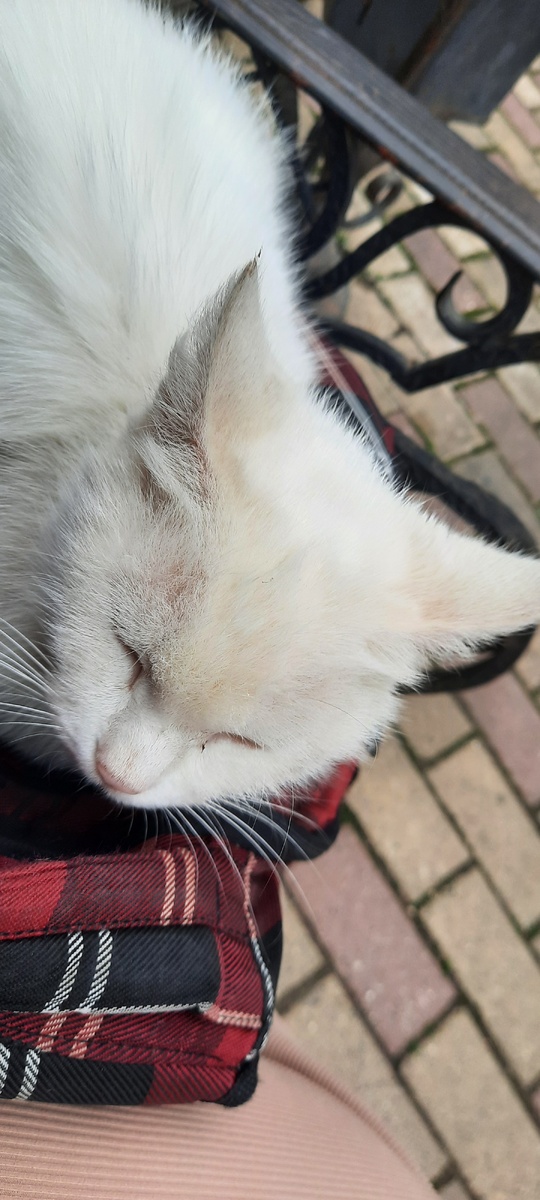 Зауютилась и не хочет уходить!)