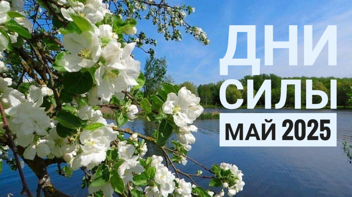 #астрология: дни силы май 2025