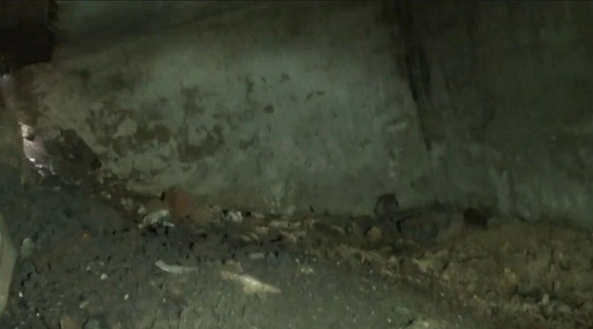     Источник: Социальные сети Дмитрия Зенюка