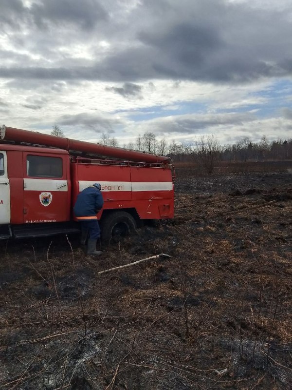    Пожарные Карелии спасли лес от огняГоскомитет Карелии по безопасности
