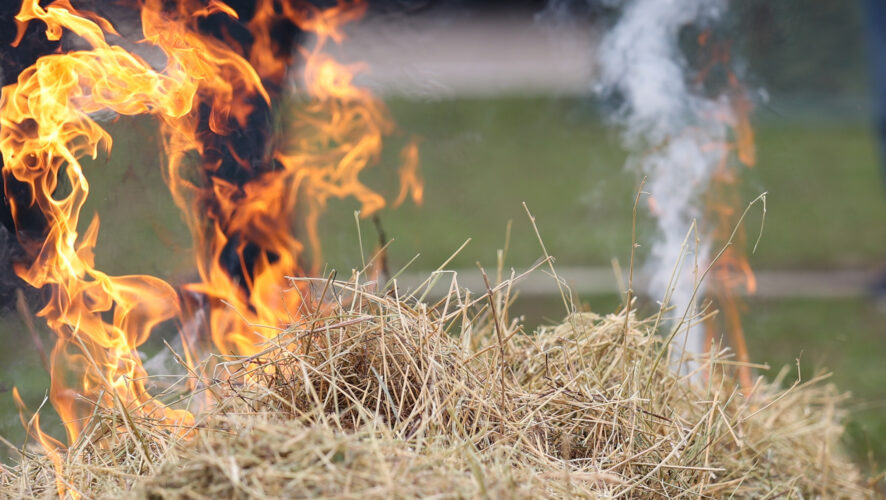    Фото: KazanFirst