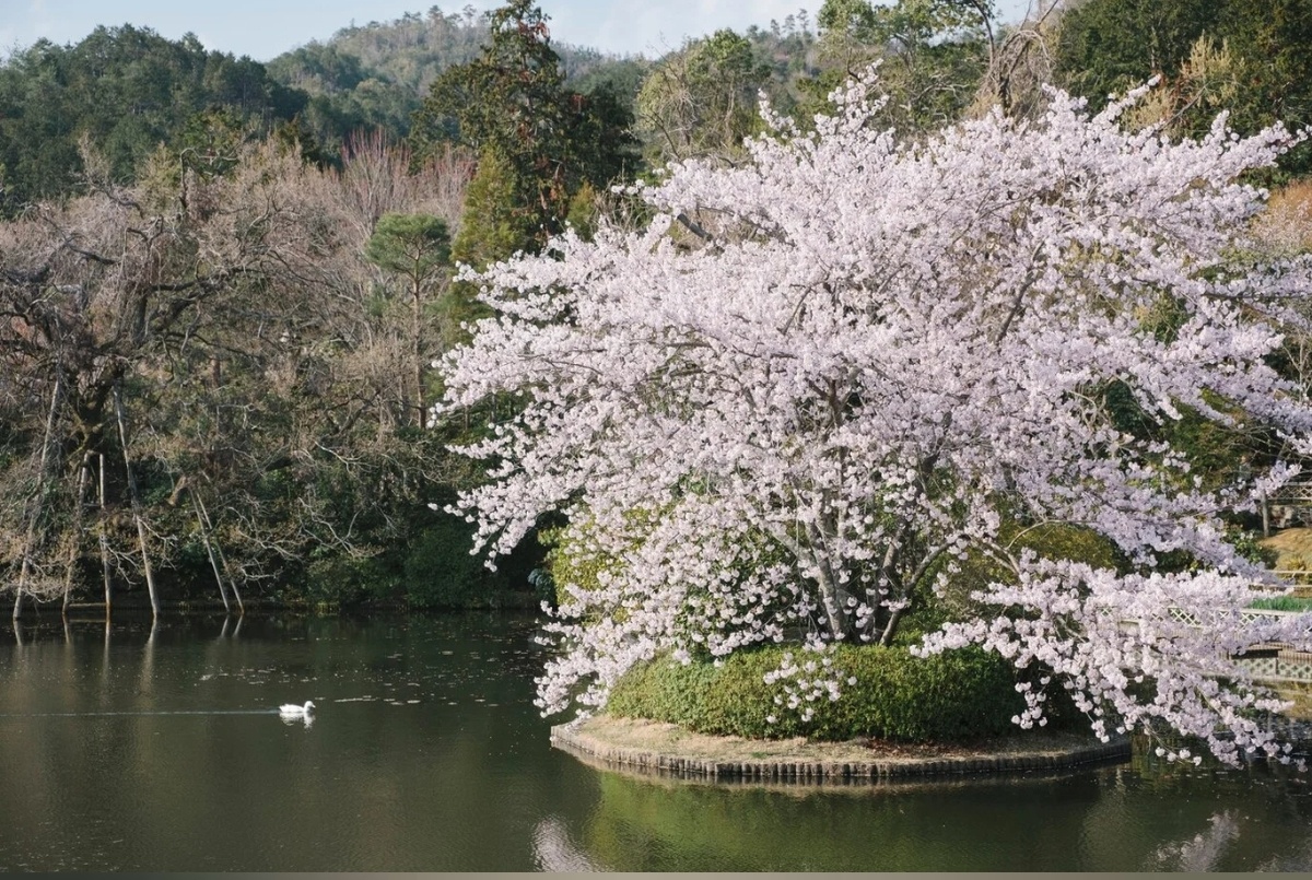 Фото с простор интернета 