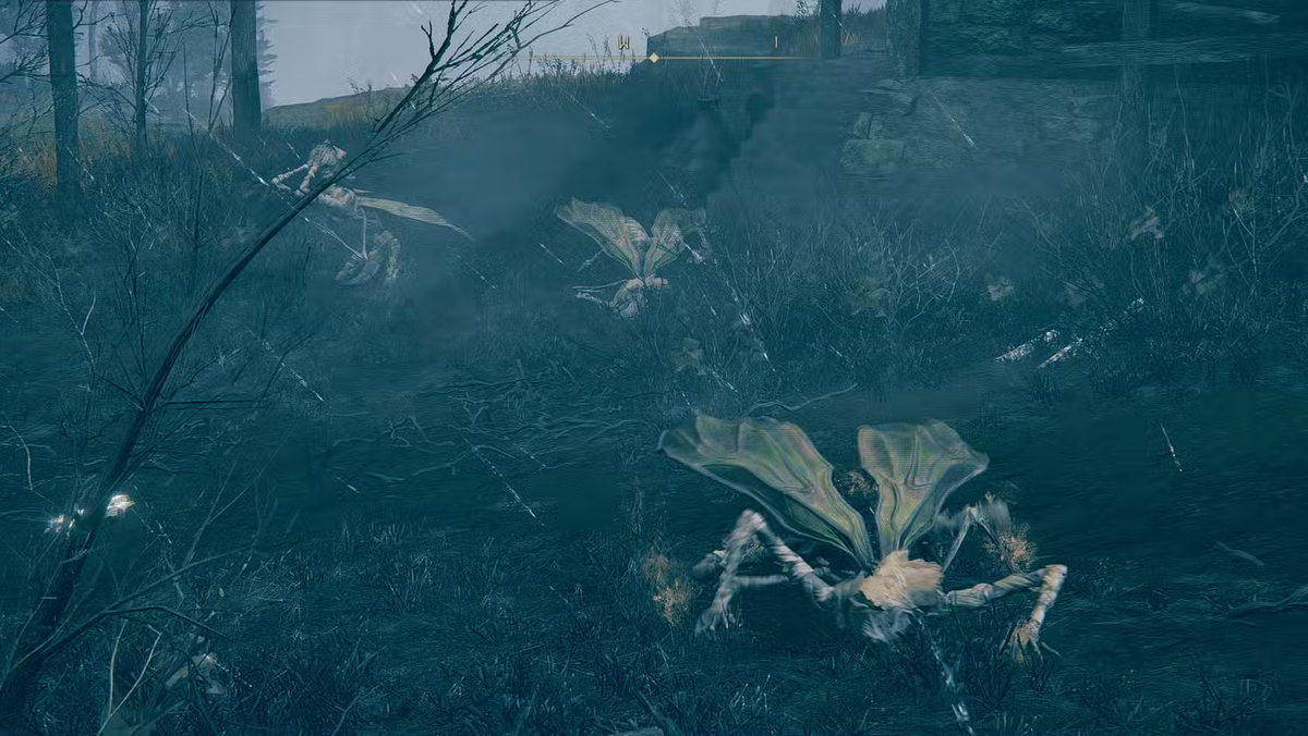 Взято из откртых источников  