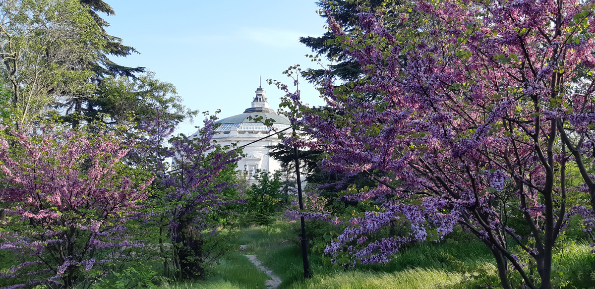 фото 2022 года