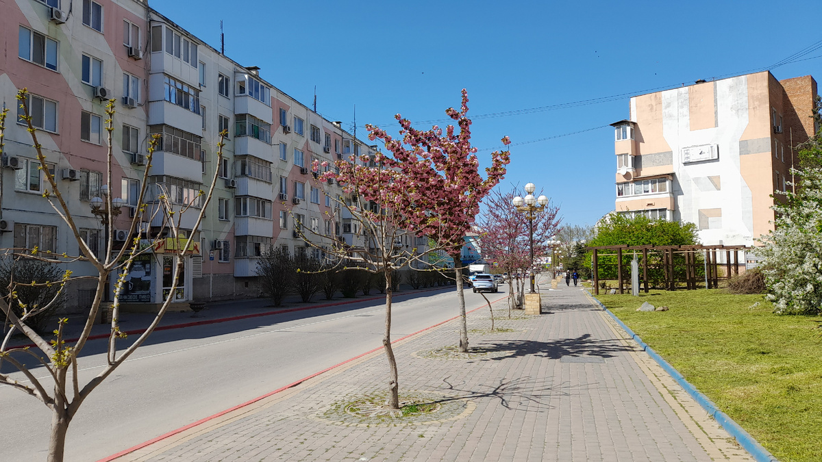 До потопа здесь была аллея сакур