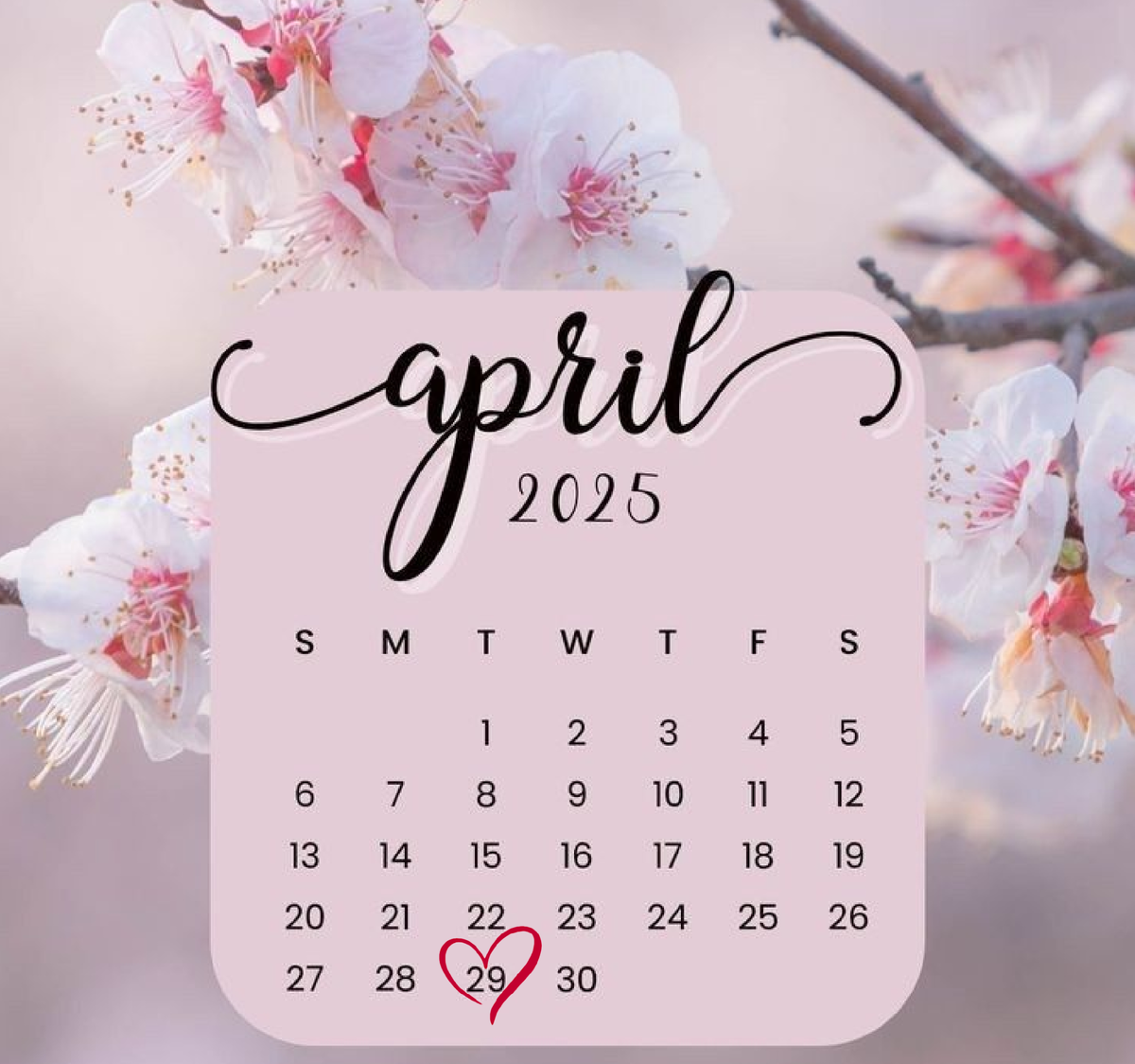 29 April