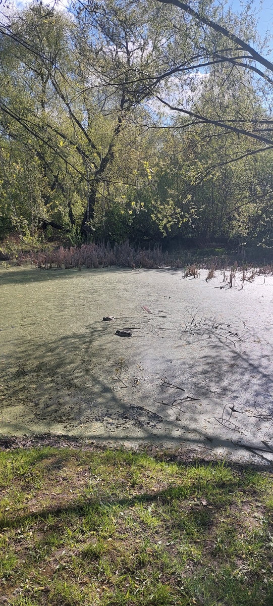 По пути на работу