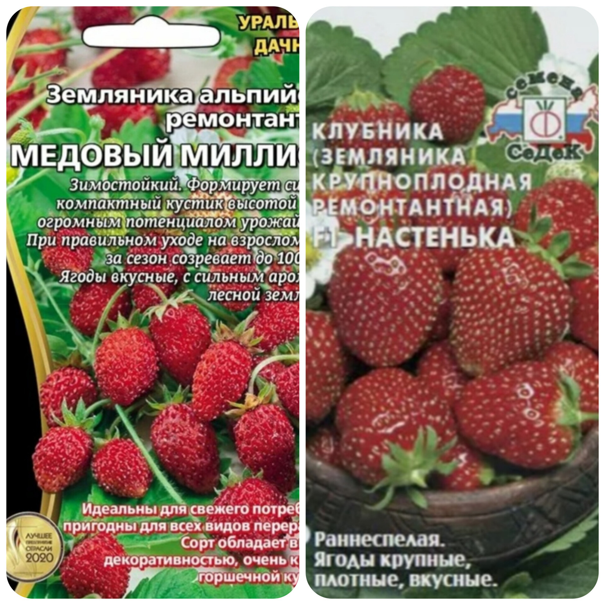 пакеты семян от агрохолдингов