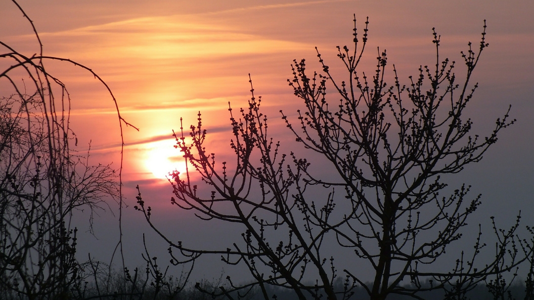    Фото: Victor Lisitsyn/Globallookpress