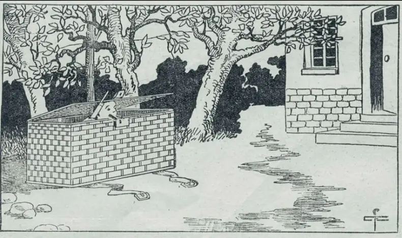 «Разгадай винтажную головоломку: найди кота за 30 секунд!»