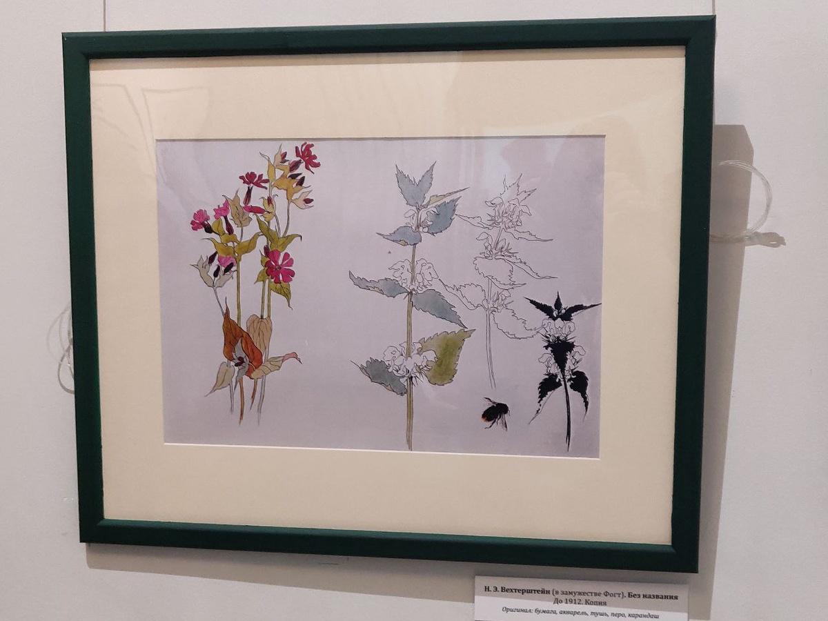 Экспонат выставки Фото автора