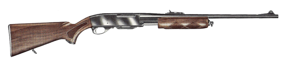 Remington 760 ADL Gamemaster. (Изображение - общественное достояние)