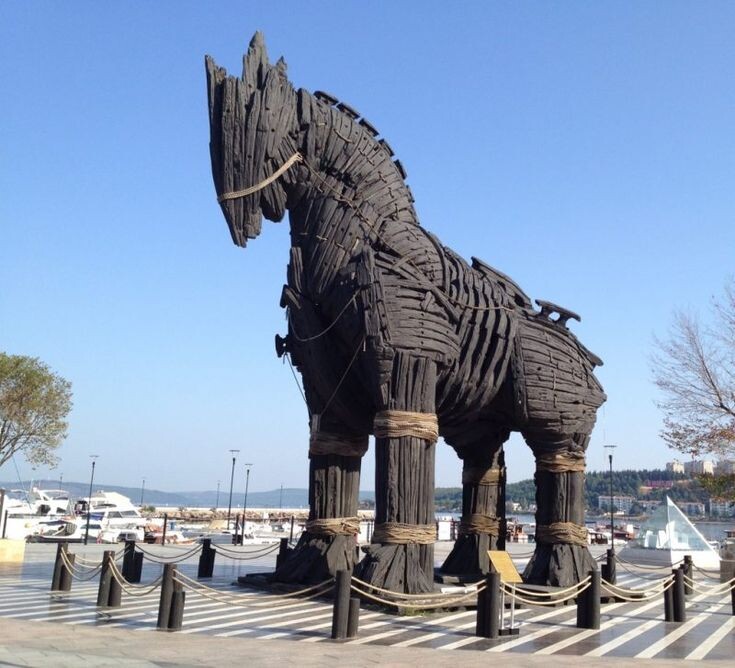 Фото из открытых источников 