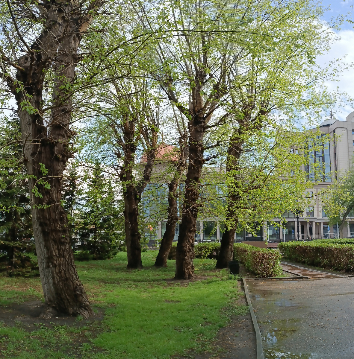 Где-то на просторах моего весеннего города. Фотография автора, апрель 2025 года. 