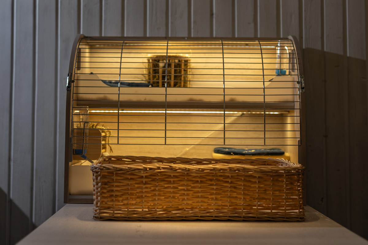 Такие аппартаменты, так еще  в центре Москвы!