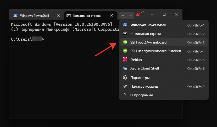 Пример встраивания профиля для подключения по SSH в Терминал Windows