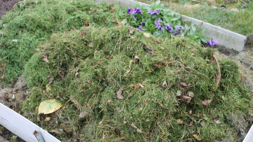 Подготовка грядки