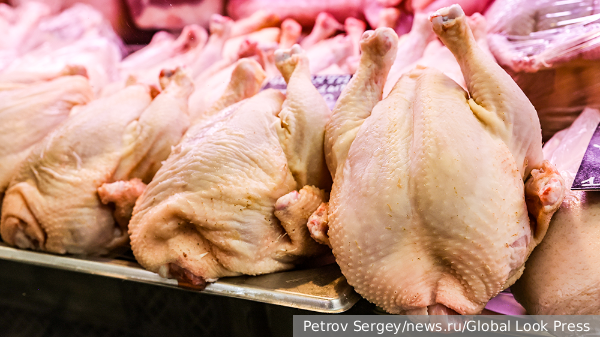     Фото: Petrov Sergey/news.ru/Global Look Press   
 Текст: Ирма Каплан