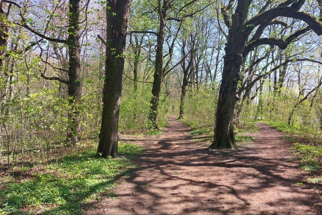   Фото из архива Калининград.Ru