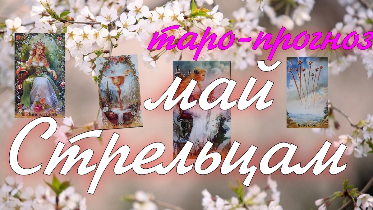 коллаж ЕлВита