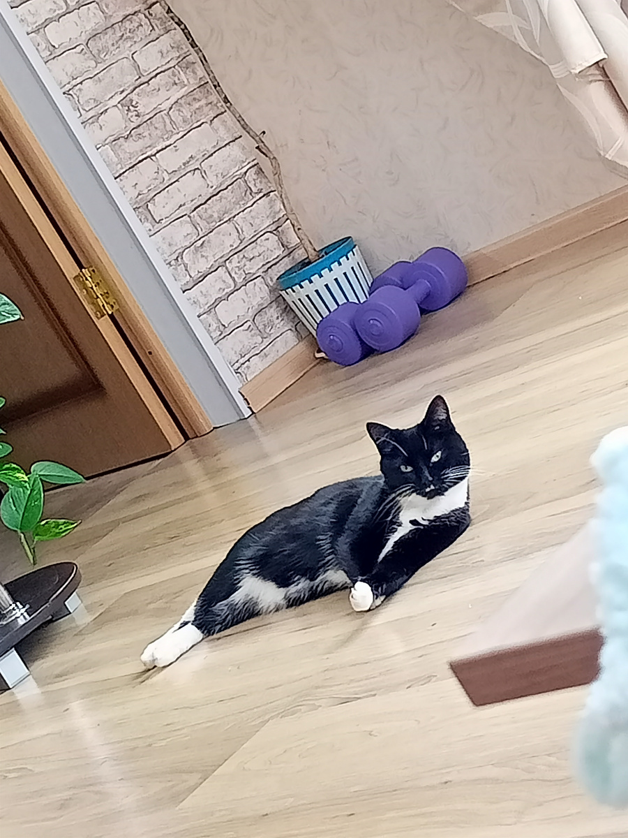 Вот лежу, маму гипнотизирую, чтобы вставала и шла меня кормить. А то я уже целый час не ела!