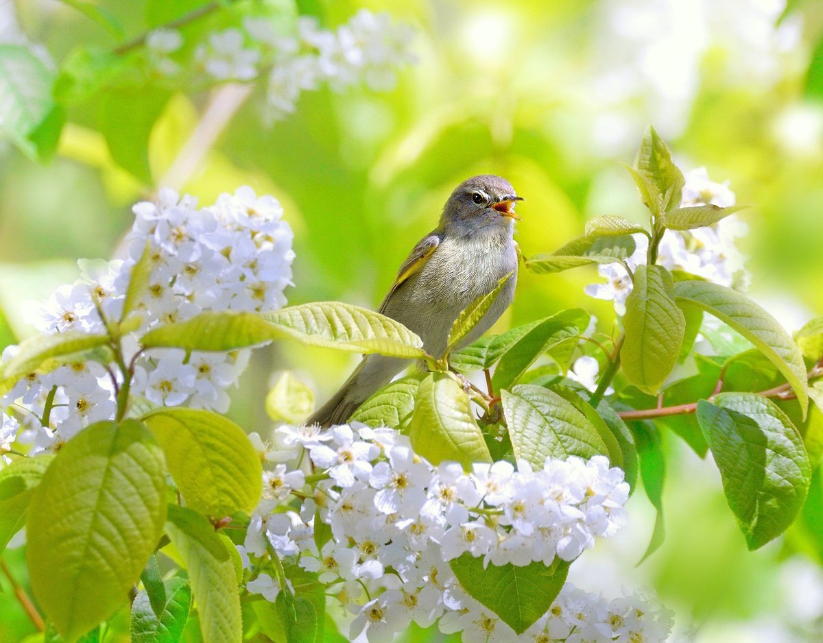 картинка из интернета