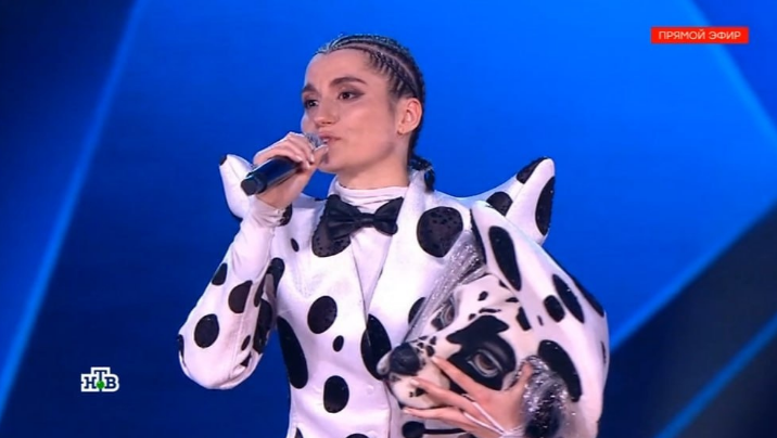 Яндекс картинки