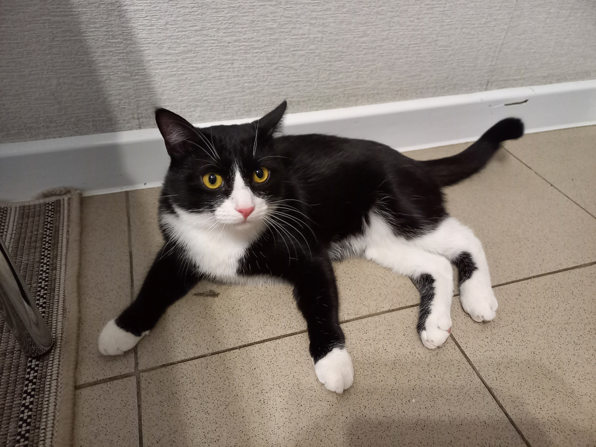 Слышу, но вставать неохота