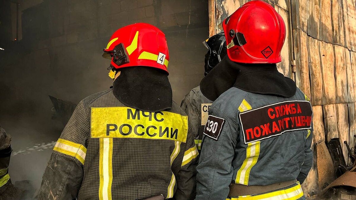    Фото: телеканал «Краснодар»