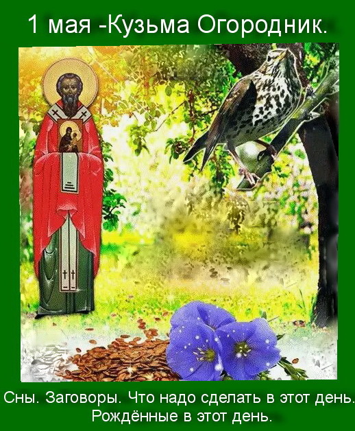 Источник : Яндекс картинки.