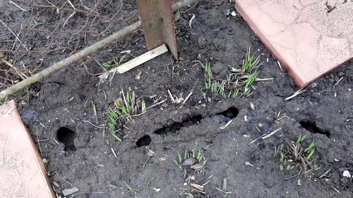 Кто-то похозяйничал.