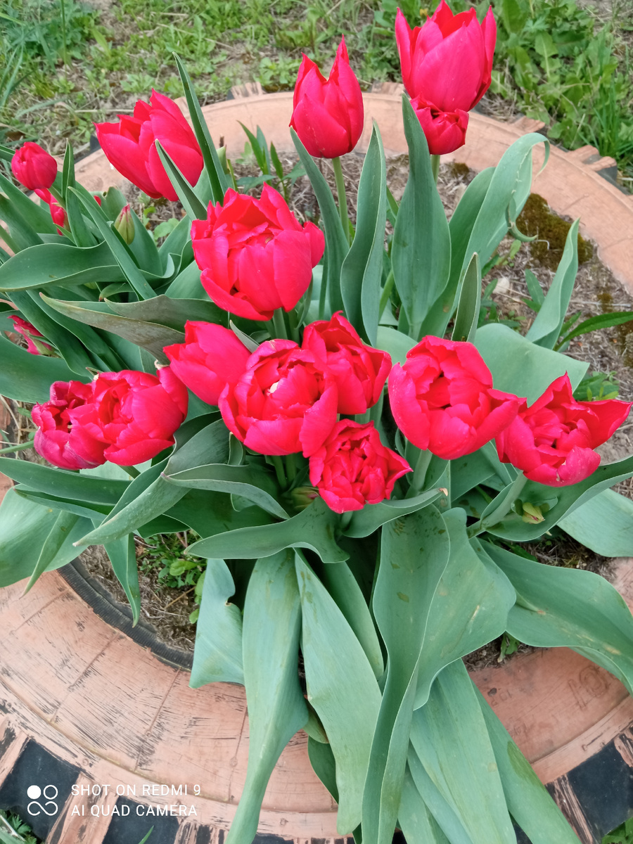 Фото автора.