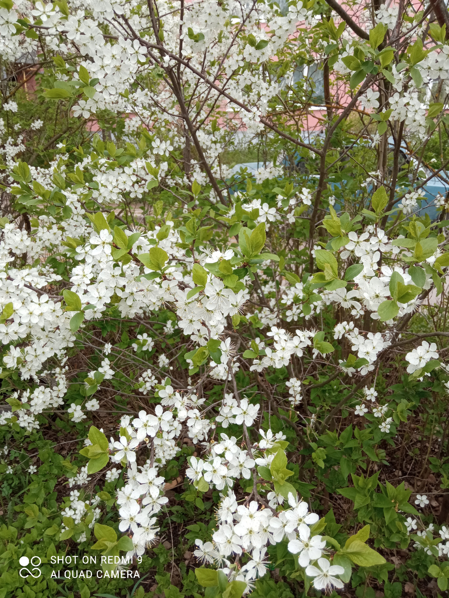 Фото автора.