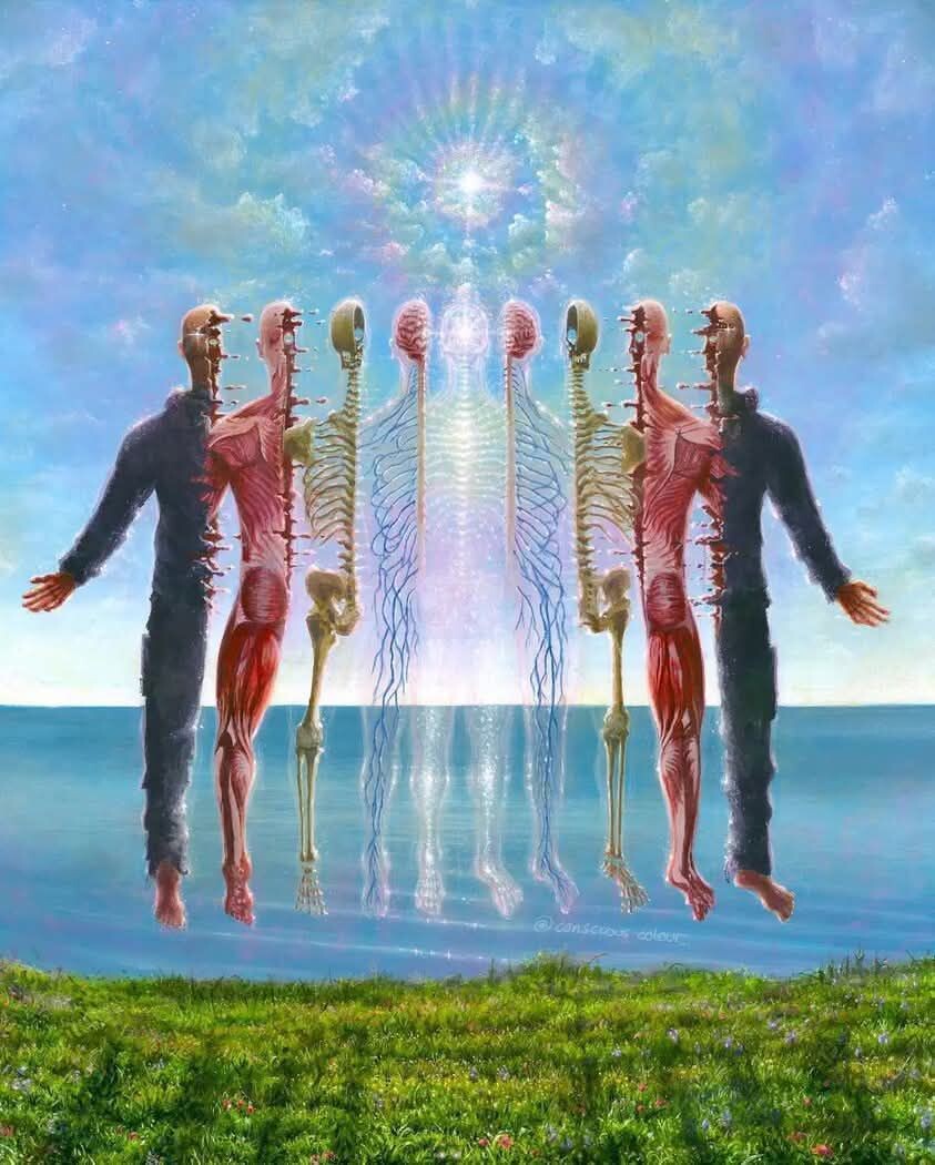 ХУДОЖНИК: Брэдли Снук.- "Фрактал Сознания"