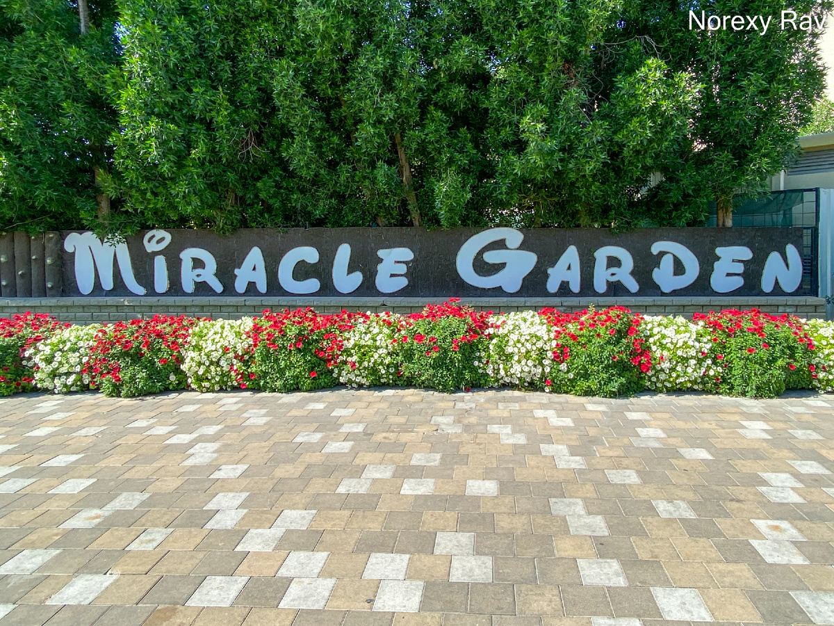 Возле входа