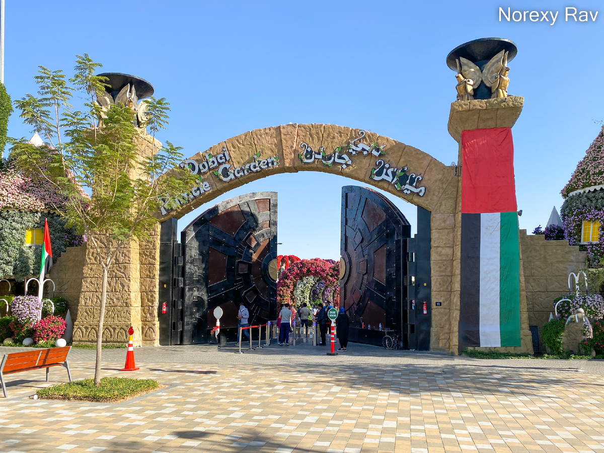 Один из выходов