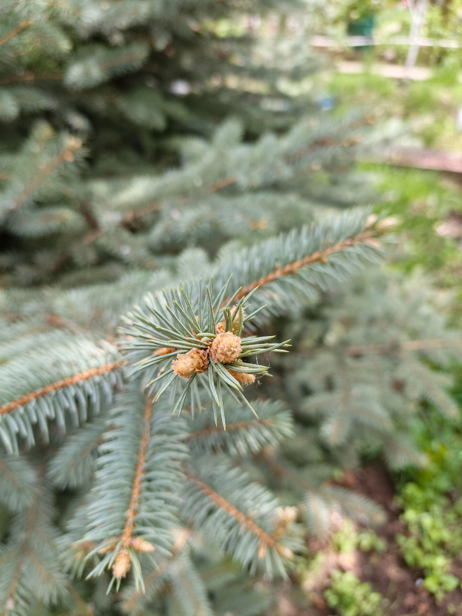 Кто-то посадил сад, а кто-то его преумножил