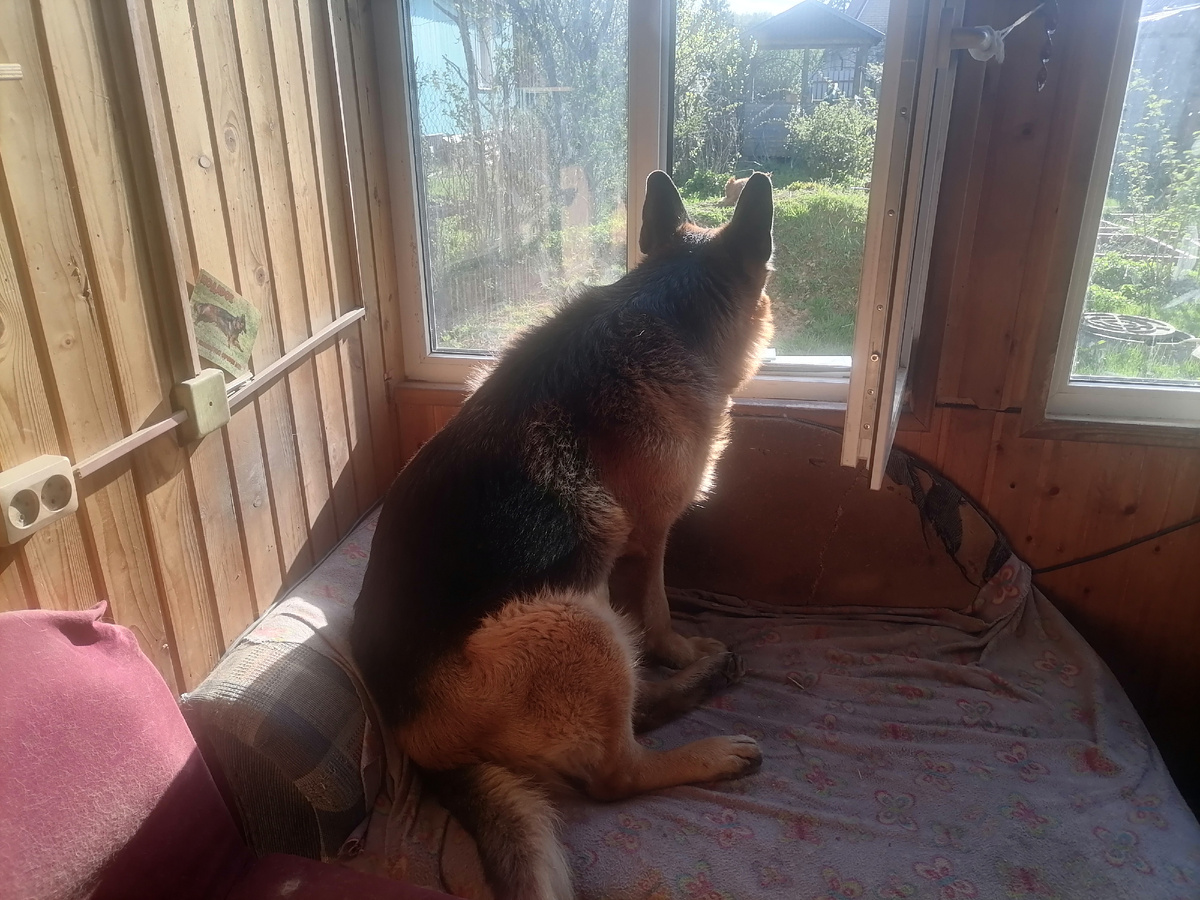 Фред в тепле