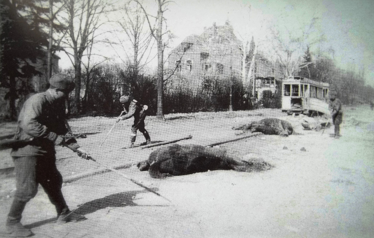 Советские бойцы разминируют улицы Кёнигсберга. 27 мая 1945-го