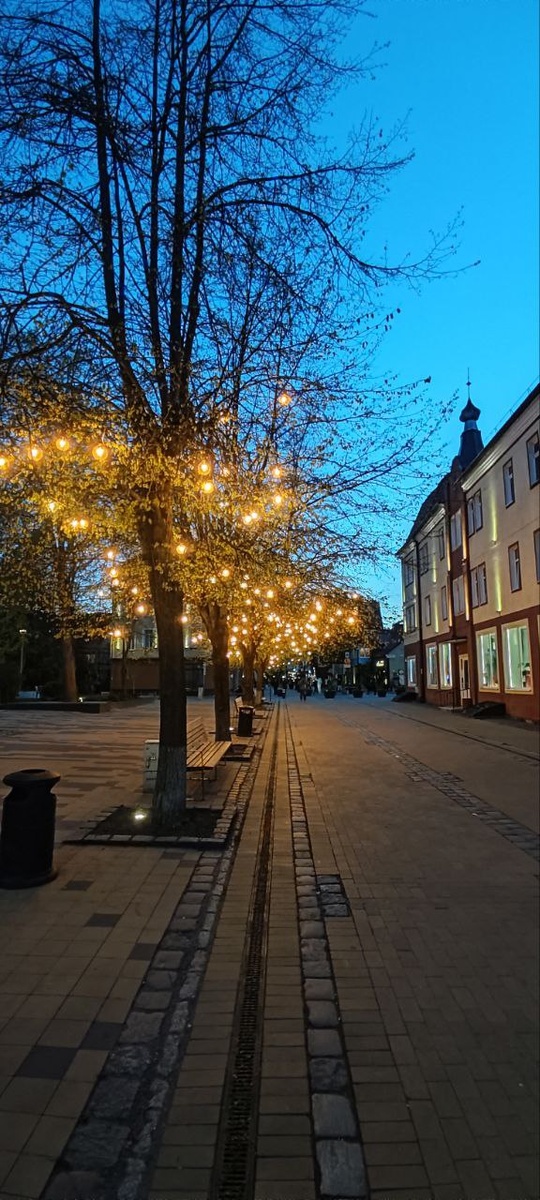 Одна из улочек Зеленоградска