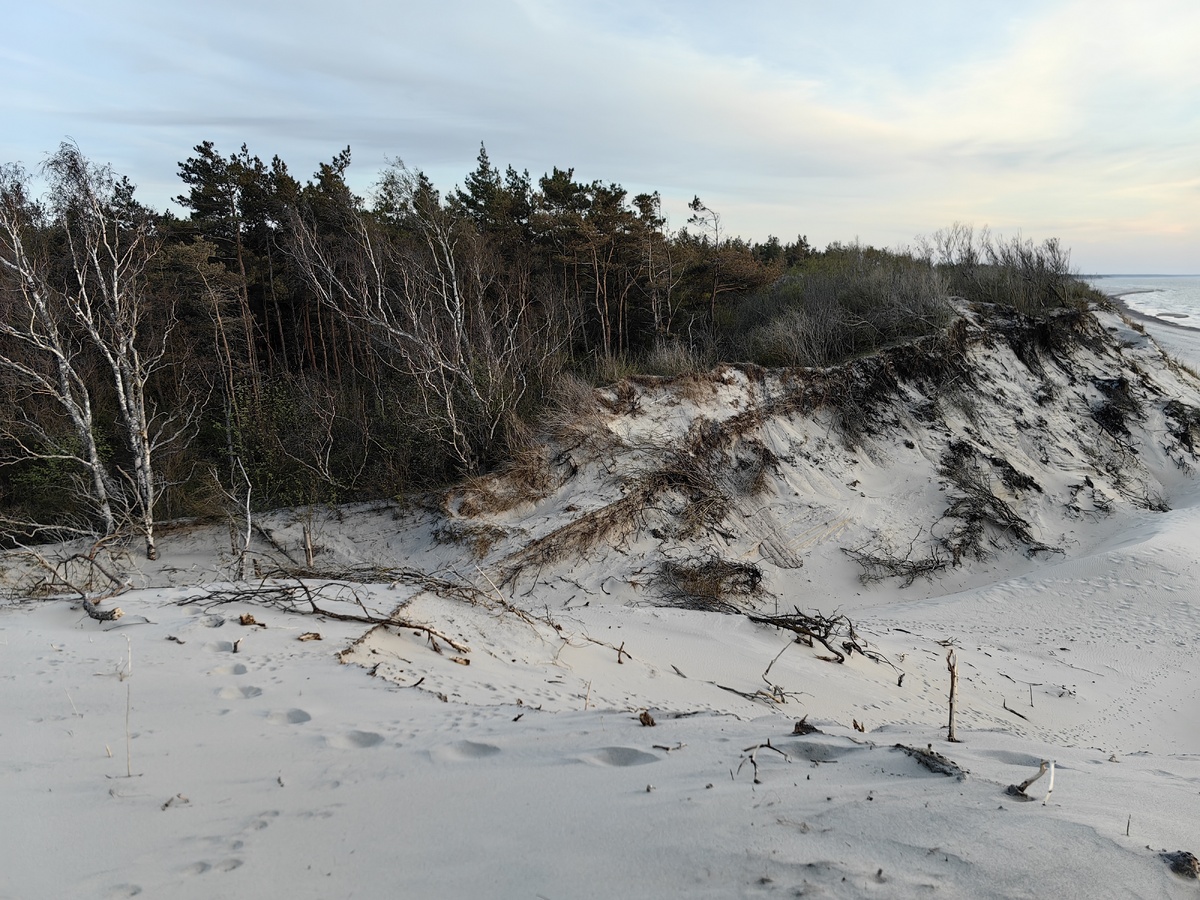 "Песчаная катастрофа" 