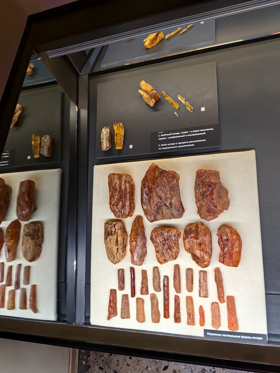 Фото из музея Янтаря Калининграда