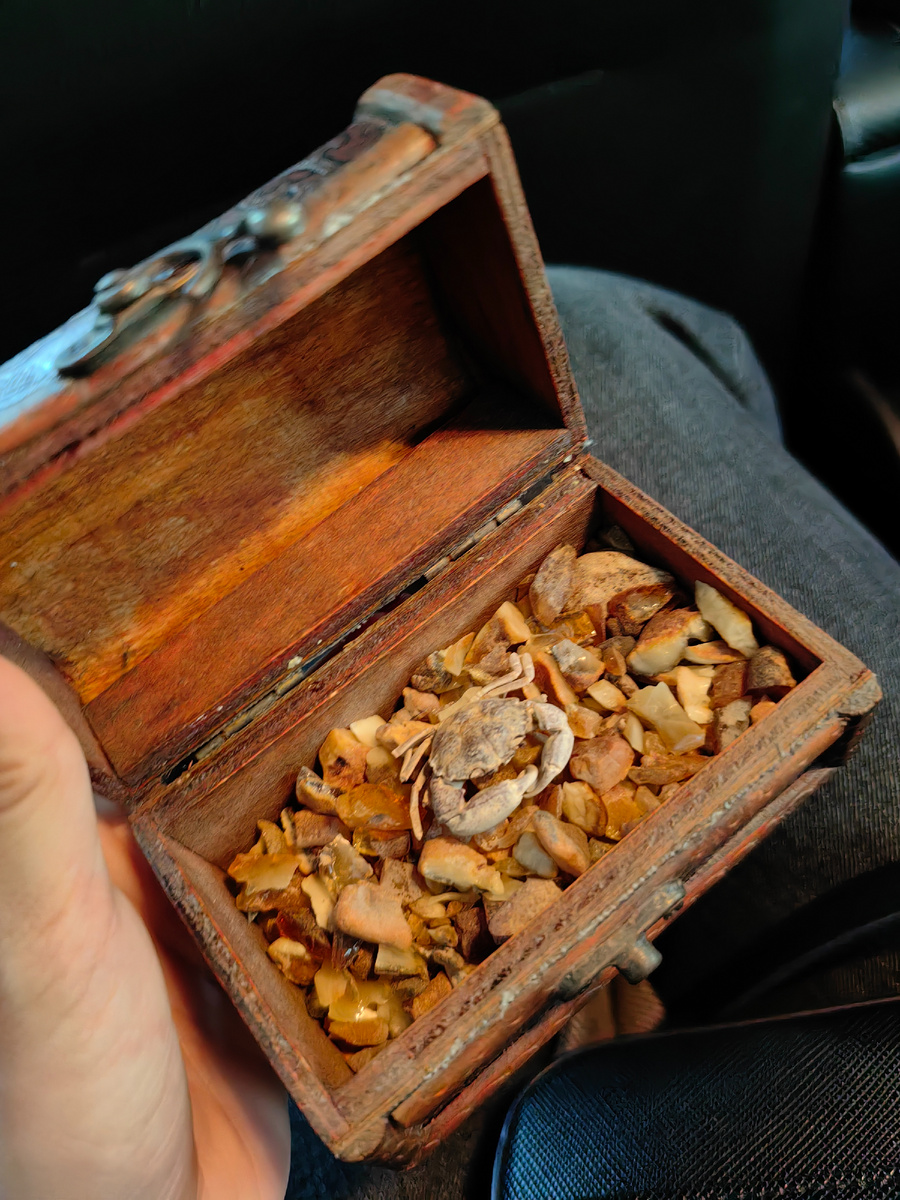 Сокровище нашего гида