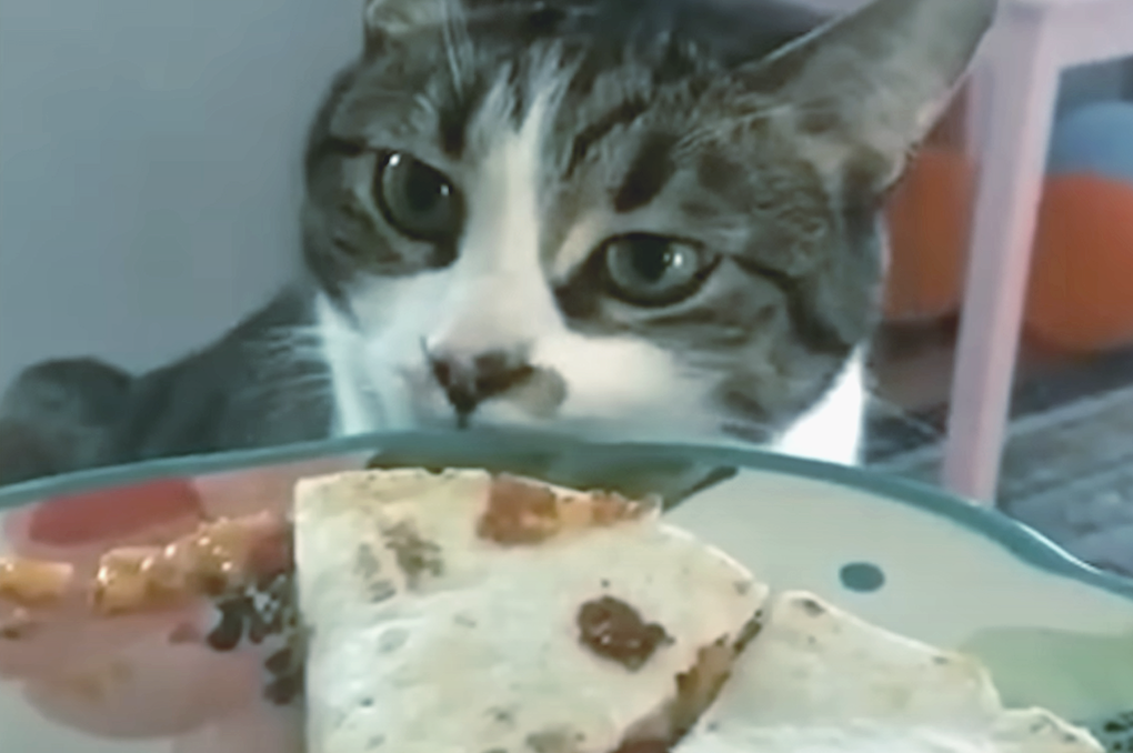 Очень хочется этот вкусный омлет с колбаской