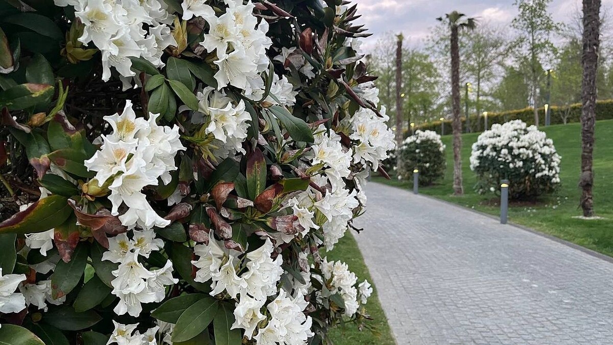    Фото: телеканал «Краснодар»